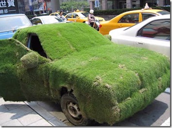 Green grass car