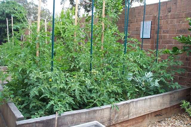[Garden Update 016[3].jpg]