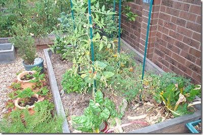 Burnt Garden 004