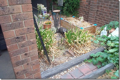 Burnt Garden 006