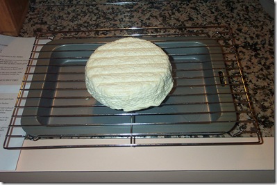 Feta 008