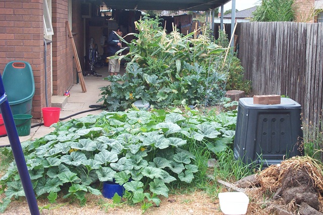 [1 March 09 004[3].jpg]