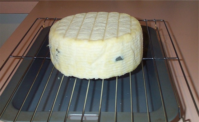 [WensleydaleSage3.jpg]