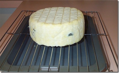 Wensleydale Sage