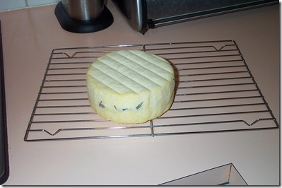 Cheese Wax 003 Cheese Wax 003