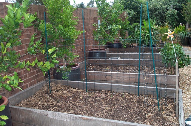 [Autumn Garden 007[5].jpg]