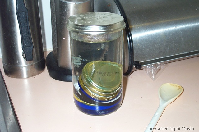 [PickledOnions0063.jpg]