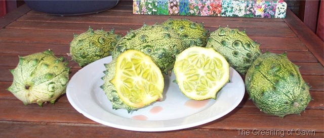[Horned African Melon Cut[4].jpg]
