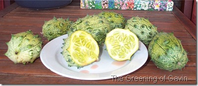 Horned African Melon Cut