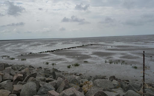 [Bild: nordsee-deich-landschaft+2008+(23).jpg]