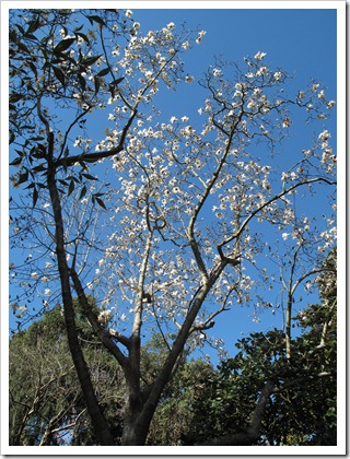 IMG_0820 IMG_0820