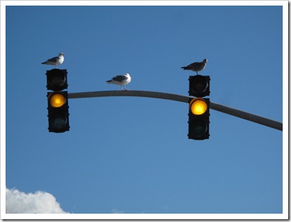 IMG_0862 IMG_0862