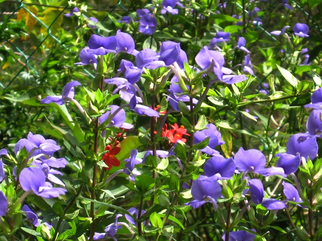 [IMG_61714.jpg]