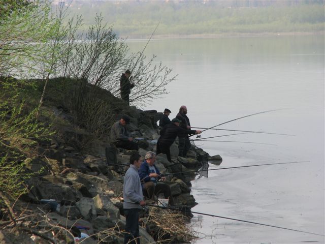 http://lh6.ggpht.com/_nzYtMB55y_4/SfgBDfBA6uI/AAAAAAAACQY/T8v1X4qiF7w/s800/IMG_0043.JPG