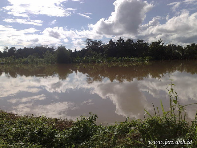 Sawah muaragula menim Sawa di Ds Muara Gula