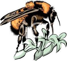 [Bee collecting pollen[5].jpg]