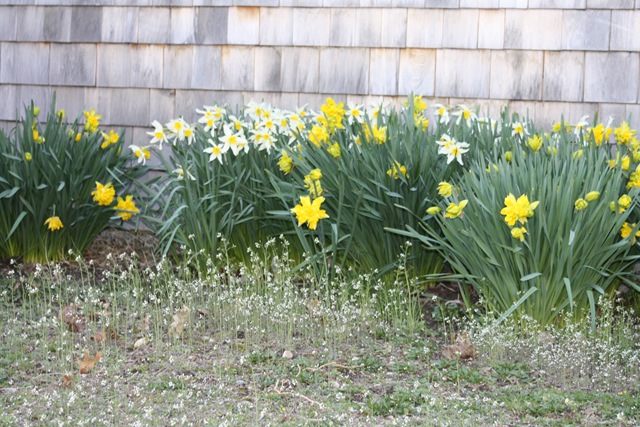 [IMG_0186 (2)[3].jpg]