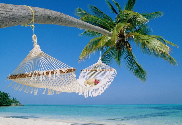[travel-business-hammock-beach1[4].jpg]