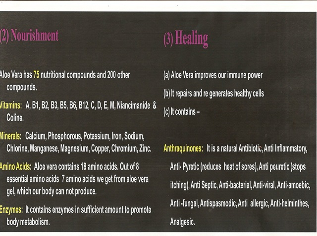 [ScannedImage-20[4].jpg]