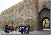 IMG_4881 IMG_4881