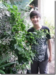 PICT0147