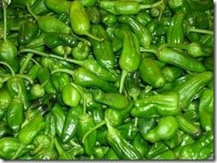 pimenta padron