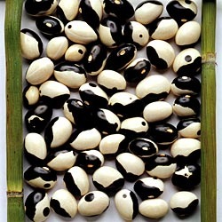 [Yin Yang Beans[2].jpg]