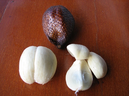 [Snake fruit[2].jpg]