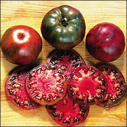 [Tomate Black Krim[2].jpg]