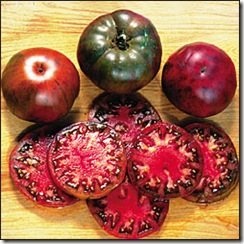 Tomate Black Krim