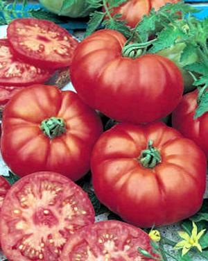 [Tomate Marmande[2].jpg]