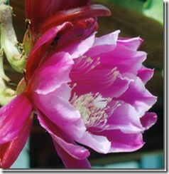 clip_image018