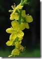 clip_image004[6]