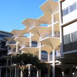 Our Lab at UCSD