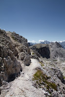 IMG_6017.jpg