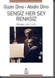 Sensiz Her Şey Renksiz