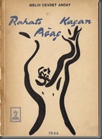 rahatikacan2 rahatikacan2