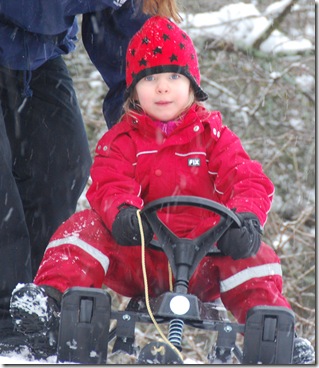 DSC_1314 DSC_1314