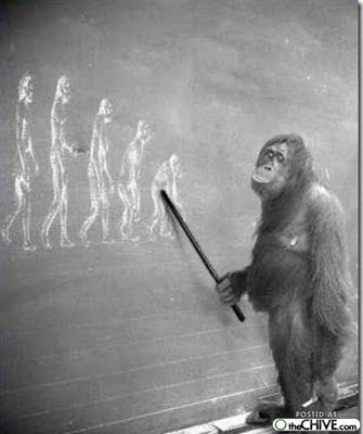 Evolution Evolution