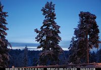 DSC_3559.jpg Photo