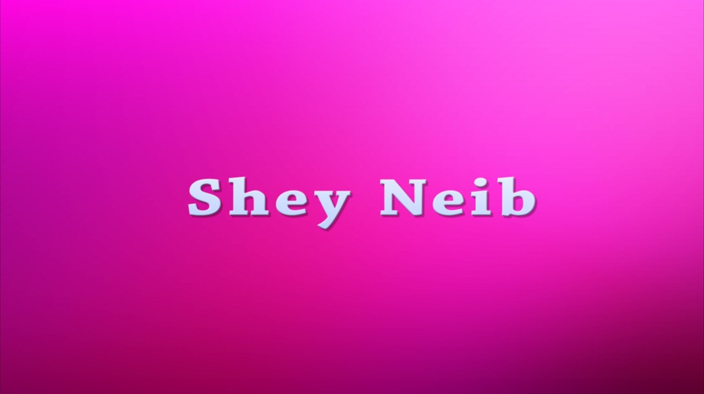 [shey-001-copy3.jpg]