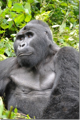 25 Africa 129 25 Africa 129
