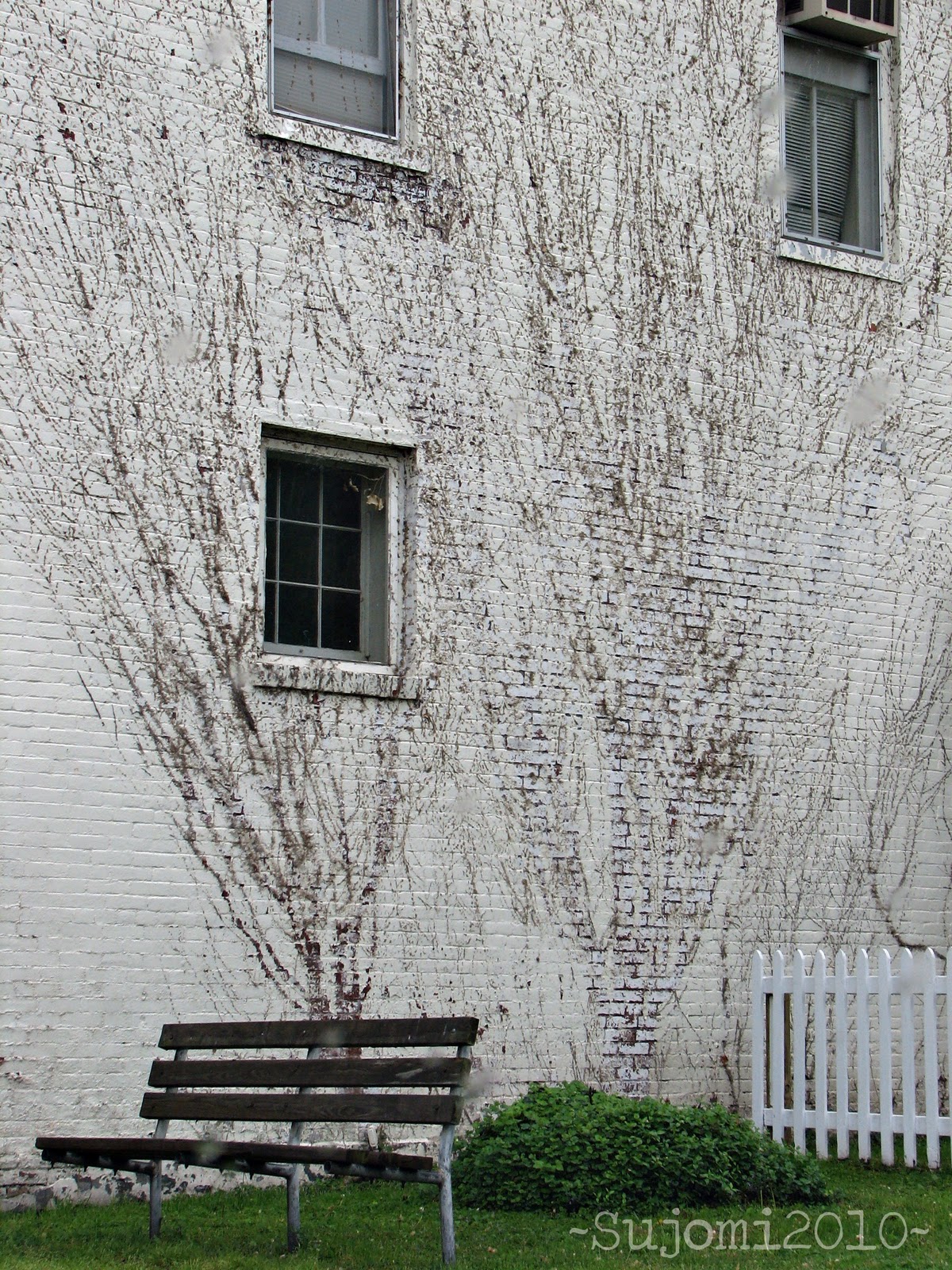 [2010 04 25 IMG_6295w[5].jpg]