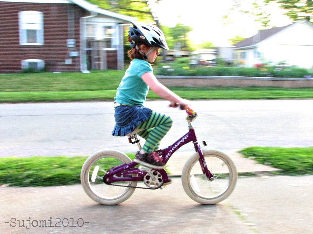 [2010 04 28 IMG_6378w[6].jpg]