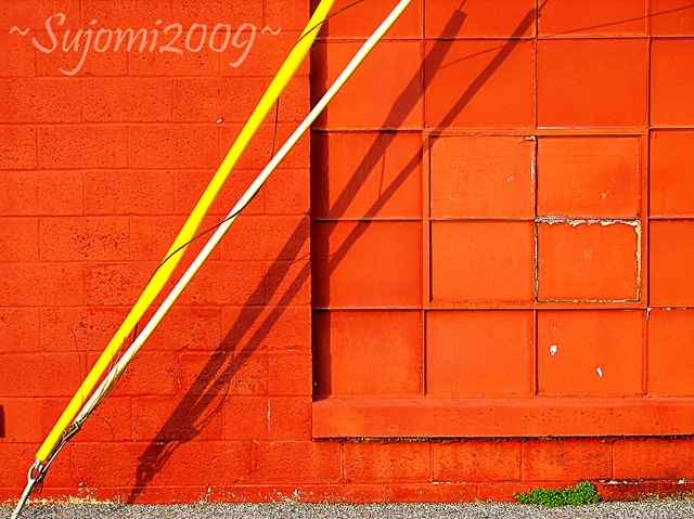 [2009 04 16 IMG_4145[4].jpg]