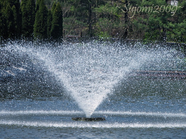 [2009 04 17 IMG_4156[9].jpg]