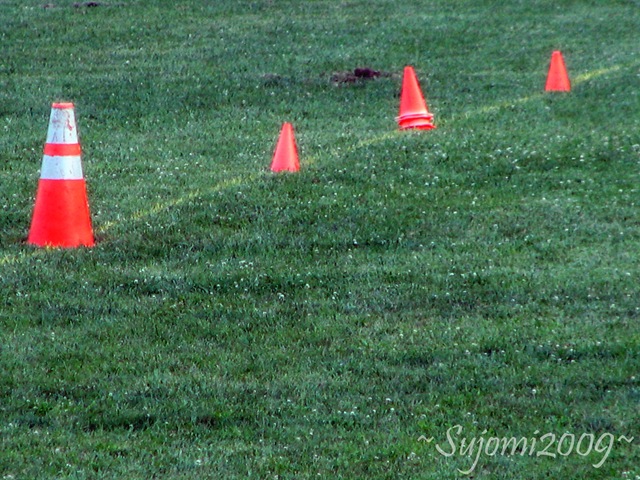 [2009 08 27 IMG_9440[2].jpg]