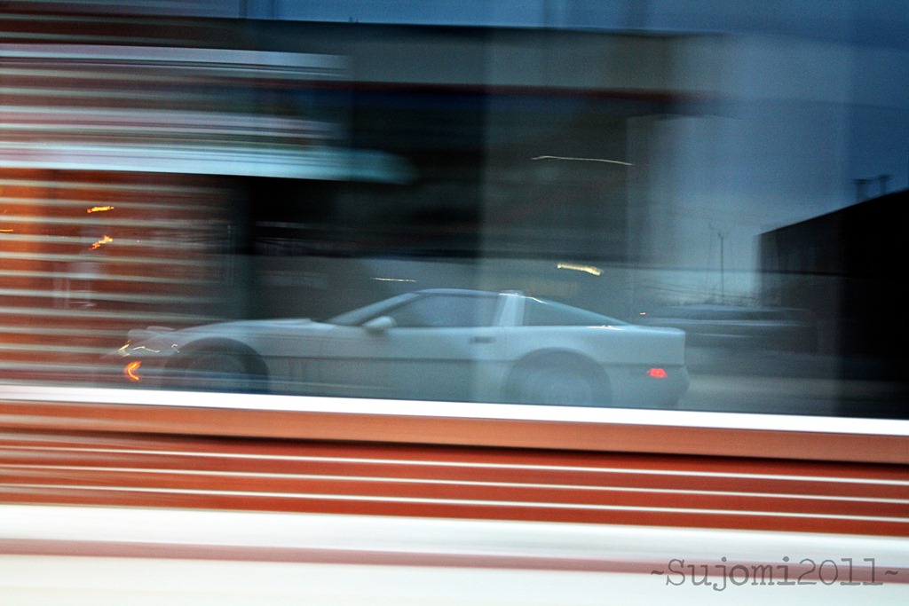 [2011-03-19-IMG_0122w5.jpg]