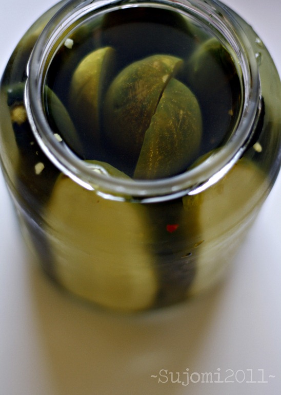 [2011 03 22 _MG_0160w[5].jpg]