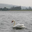 Llangorse Lake- 240410- 0151.jpg